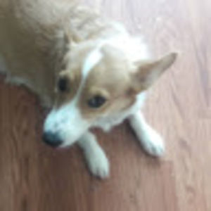 Meet your Posher, Jenny